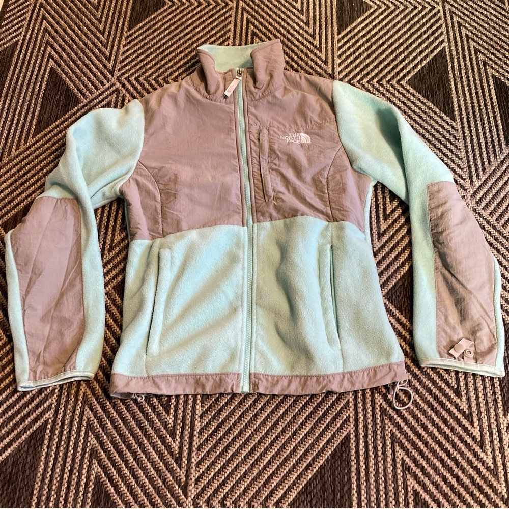 The North Face Light Green and Gray Ski Jacket